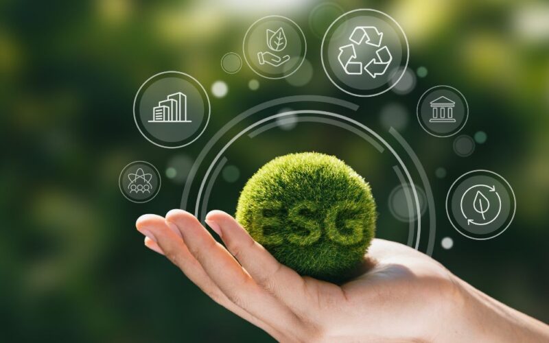 Transforme Seu Negócio: Como Certificados Sustentáveis Elevam Sua Marca ao Topo!