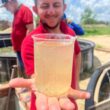 Transforme sua Colheita: Aprenda os Segredos do Cultivo de Camarões em Viveiros no Ceará!